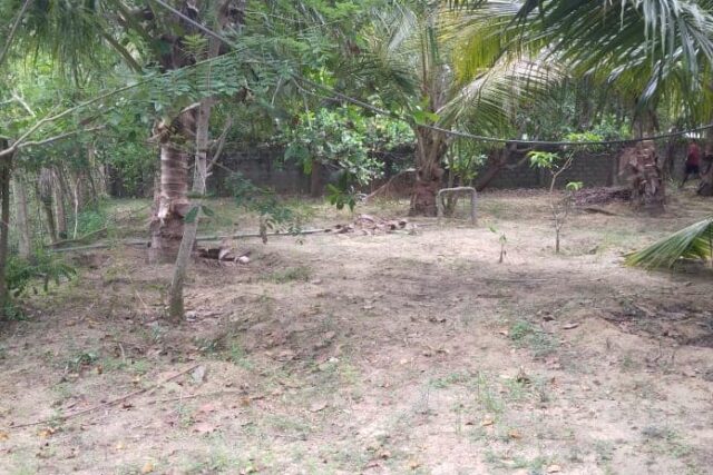 Prime Land for Sale in Nunavil West