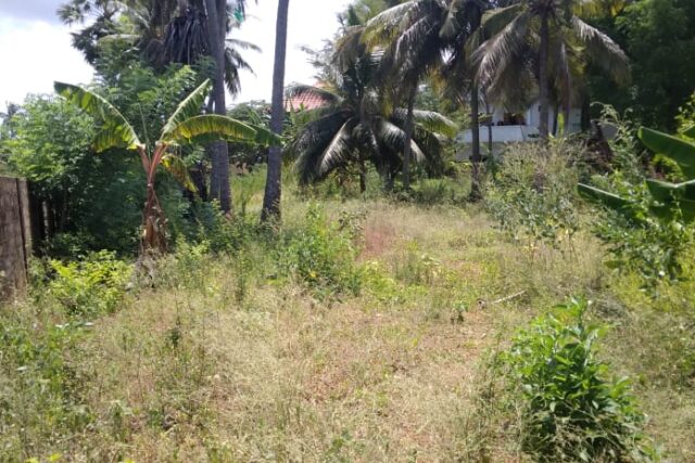 Land for Sale in Kokuvil